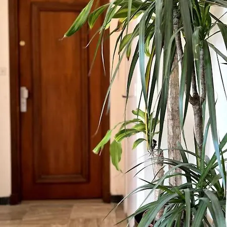 Apartment Roc