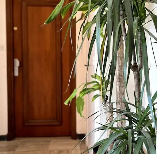 Apartment Roc